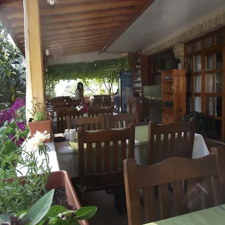 Golden Guest house