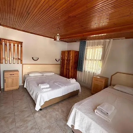 Guest house Golden 3*